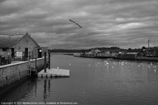 Monochrome Seagulls on the  River Brit Picture Board by Ann Biddlecombe