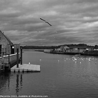 Buy canvas prints of Monochrome Seagulls on the  River Brit by Ann Biddlecombe