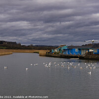 Buy canvas prints of Seagulls on the River Brit by Ann Biddlecombe