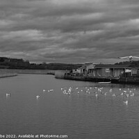 Buy canvas prints of monochrome Seagulls on the River Brit by Ann Biddlecombe