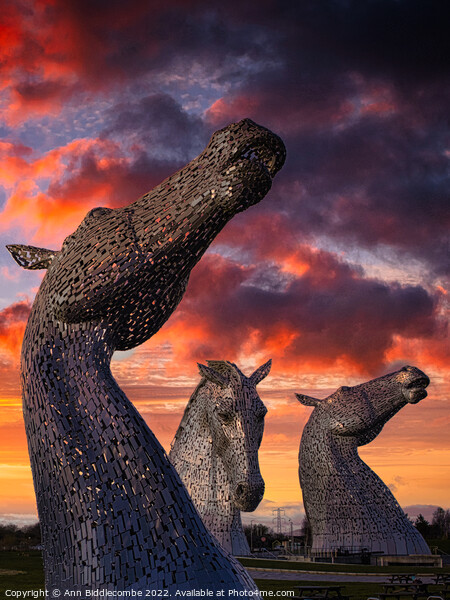 Three of the Kelpies Picture Board by Ann Biddlecombe