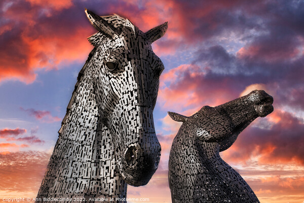 Stunning Kelpies Picture Board by Ann Biddlecombe