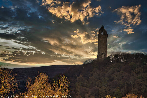 Wallace monument Picture Board by Ann Biddlecombe