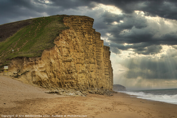West bay cliffs Picture Board by Ann Biddlecombe