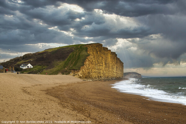 West bay beach and cliffs Picture Board by Ann Biddlecombe