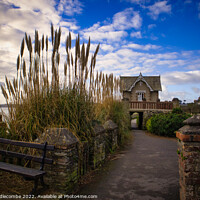Buy canvas prints of Falmouth Beach path under the old Cliff Road Chapel by Ann Biddlecombe