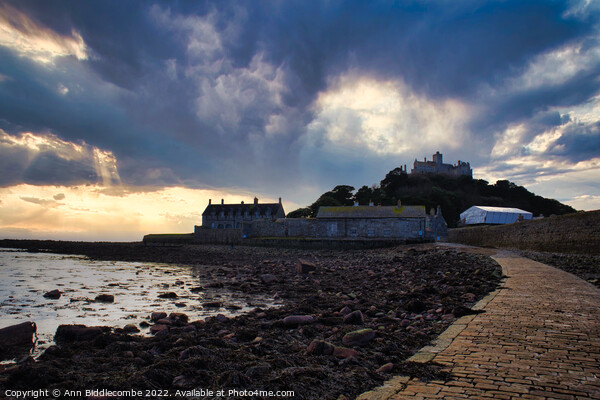 St Michaels Mount in Cornwall just as the tide was out Picture Board by Ann Biddlecombe