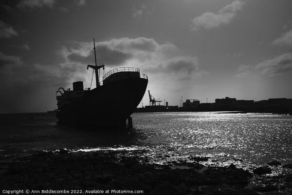 Shipwreck outside Arrecife Lanzarote in black and white Picture Board by Ann Biddlecombe