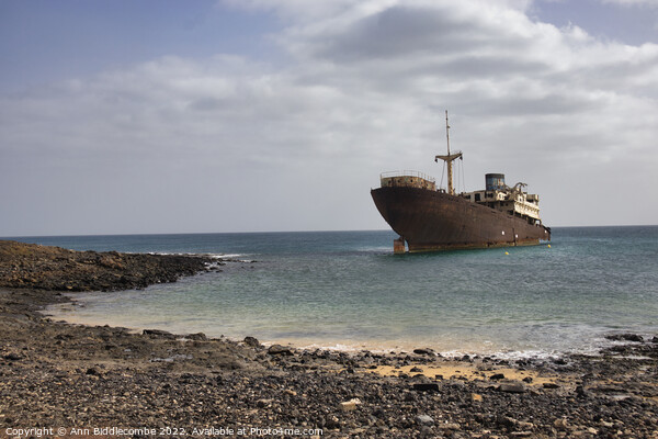 Shipwreck between Costa Teguise and Arrecife Picture Board by Ann Biddlecombe