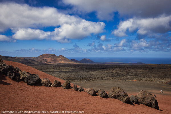 View from Timanfaya national park Picture Board by Ann Biddlecombe