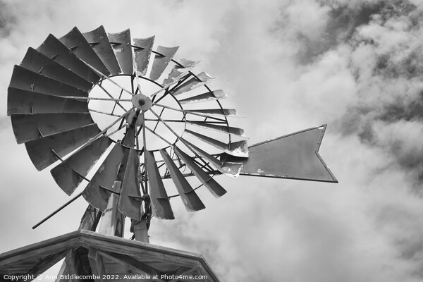 Windmill On The Promenade in monochrome Picture Board by Ann Biddlecombe