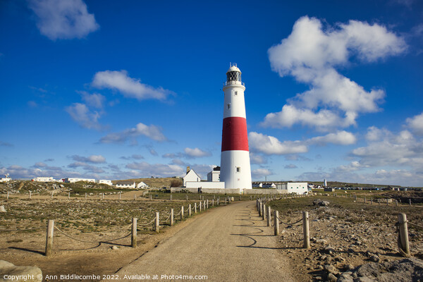 Portland Bill lighthouse Picture Board by Ann Biddlecombe