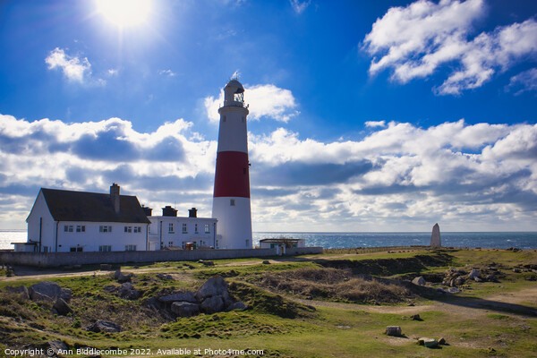 Portland Bill lighthouse from the side Picture Board by Ann Biddlecombe