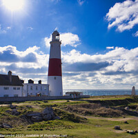 Buy canvas prints of Portland Bill lighthouse from the side by Ann Biddlecombe