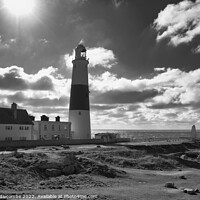 Buy canvas prints of Portland Bill lighthouse from the side in monochro by Ann Biddlecombe