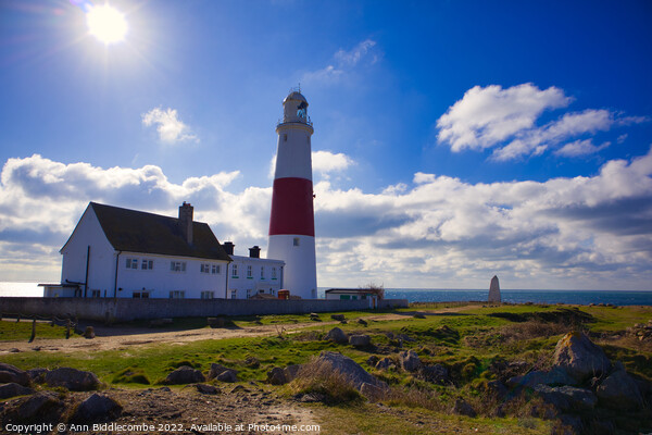 Portland Bill lighthouse with the sun Picture Board by Ann Biddlecombe