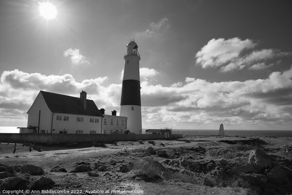 Portland Bill lighthouse with the sun in monochrom Picture Board by Ann Biddlecombe