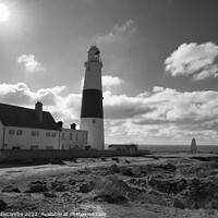 Buy canvas prints of Portland Bill lighthouse with the sun in monochrom by Ann Biddlecombe