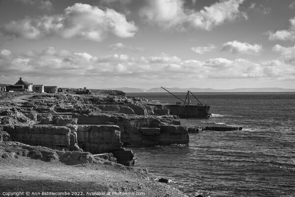 A view over the rocks in monochrome Picture Board by Ann Biddlecombe