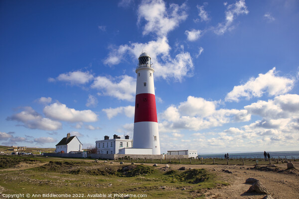 Portland Bill's iconic lighthouse Picture Board by Ann Biddlecombe