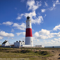 Buy canvas prints of Portland Bill's iconic lighthouse by Ann Biddlecombe
