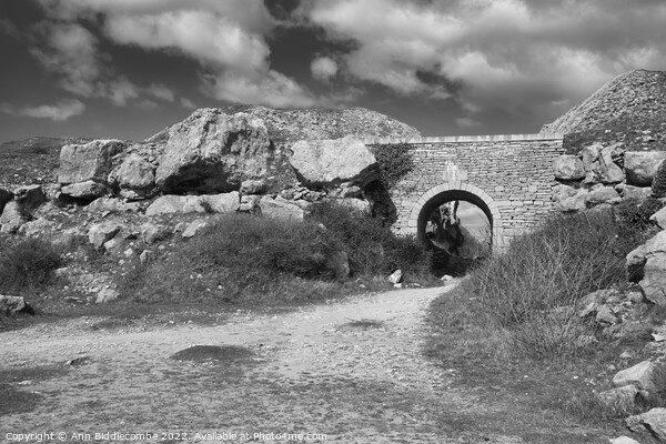 Stone archway at Portland Quarry in black and white Picture Board by Ann Biddlecombe