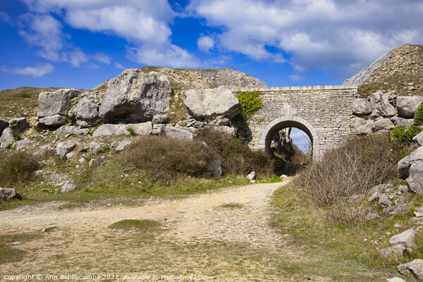 Stone archway at Portland Quarry Picture Board by Ann Biddlecombe