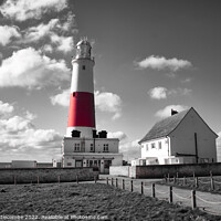 Buy canvas prints of Portland lighthouse in spot colour by Ann Biddlecombe