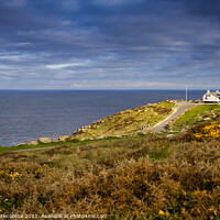 Buy canvas prints of First and last house at Lands End Cornwall by Ann Biddlecombe