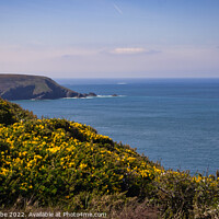 Buy canvas prints of Hells mouth looking along the coast by Ann Biddlecombe