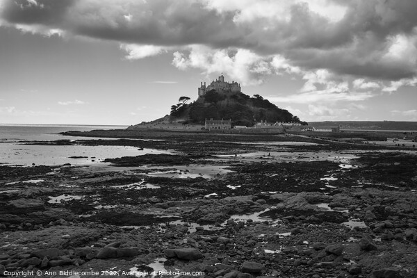 St Michaels Mount from the rocks in monochrome Picture Board by Ann Biddlecombe