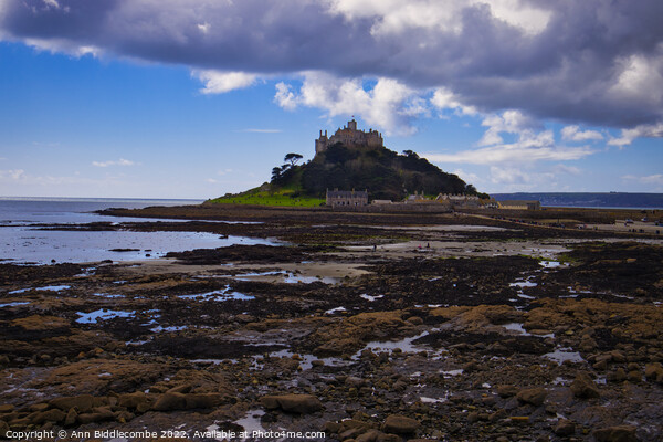 St Michaels Mount from the rocks Picture Board by Ann Biddlecombe