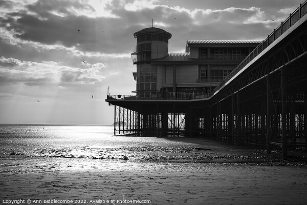 Black and white Weston-Super-Mare  under the pier Picture Board by Ann Biddlecombe