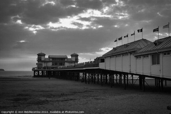 Weston-Super-Mare pier in black and white Picture Board by Ann Biddlecombe