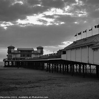 Buy canvas prints of Weston-Super-Mare pier in black and white by Ann Biddlecombe