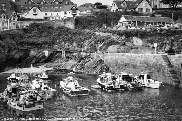 Newquay boats in the harbour Picture Board by Ann Biddlecombe