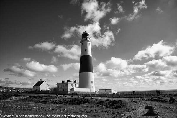 Portland Bill's lighthouse in monochrome Picture Board by Ann Biddlecombe