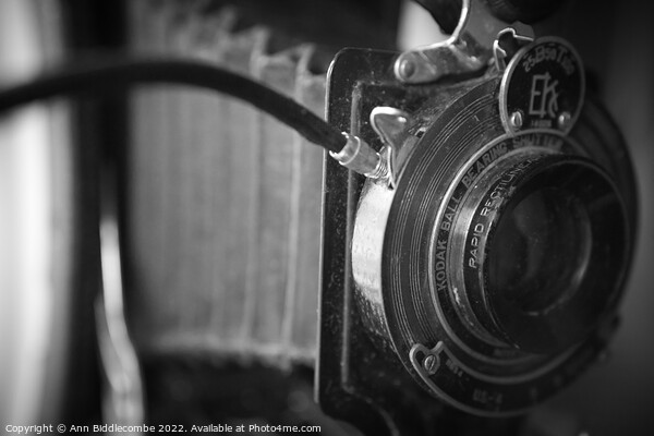 Vintage Kodak camera Picture Board by Ann Biddlecombe