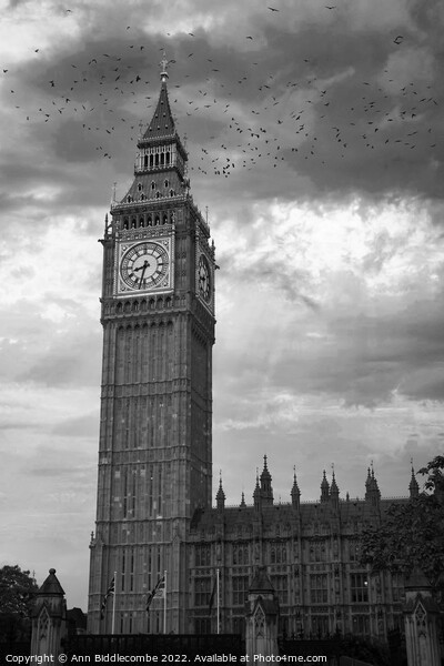 A monochrome of Big Ben in London Picture Board by Ann Biddlecombe