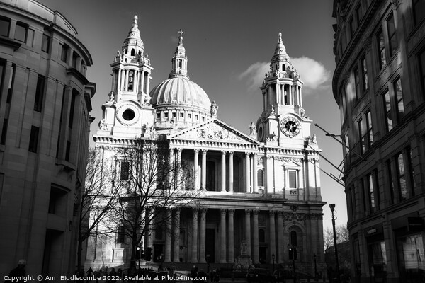 St Paul's Cathedral in monochrome Picture Board by Ann Biddlecombe