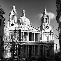 Buy canvas prints of St Paul's Cathedral in monochrome by Ann Biddlecombe
