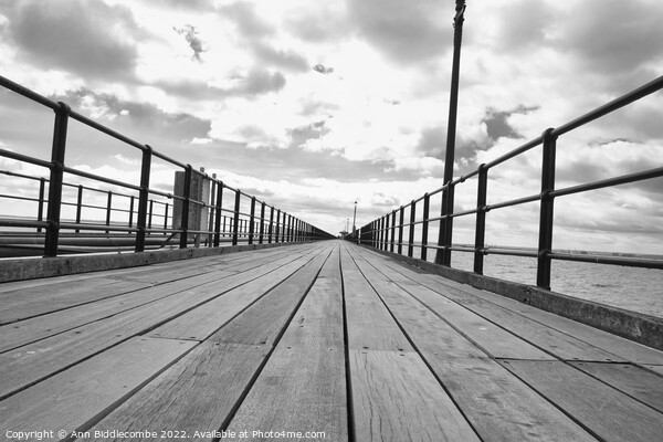 Leading lines on Southend on sea pier Picture Board by Ann Biddlecombe