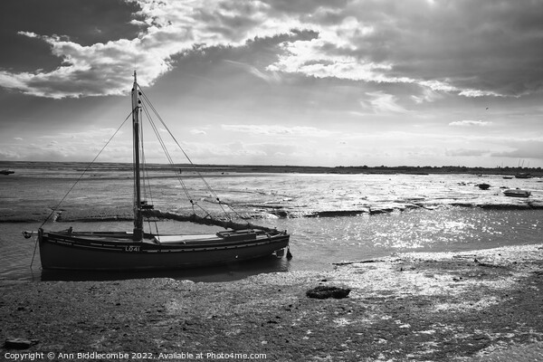 Trapped in the creek at Leigh on sea Picture Board by Ann Biddlecombe