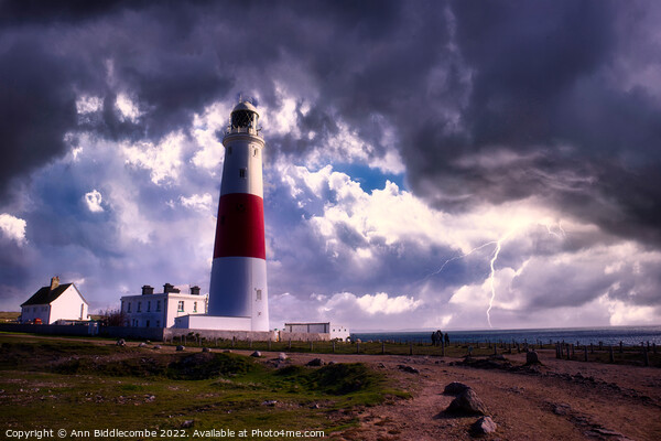 Storms at Portland Bill Picture Board by Ann Biddlecombe
