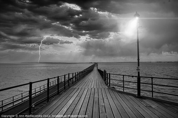 Southend on Sea pier as the storm comes in in black and white Picture Board by Ann Biddlecombe