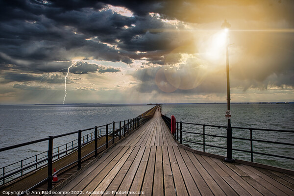Southend on Sea pier as the storm comes in Picture Board by Ann Biddlecombe