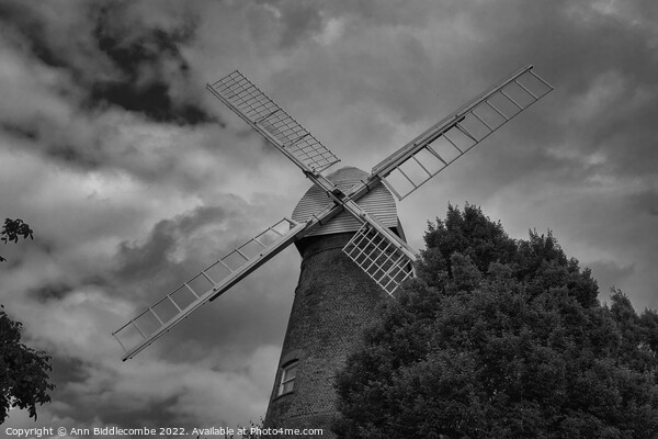 Rayleigh in Essex windmill Picture Board by Ann Biddlecombe