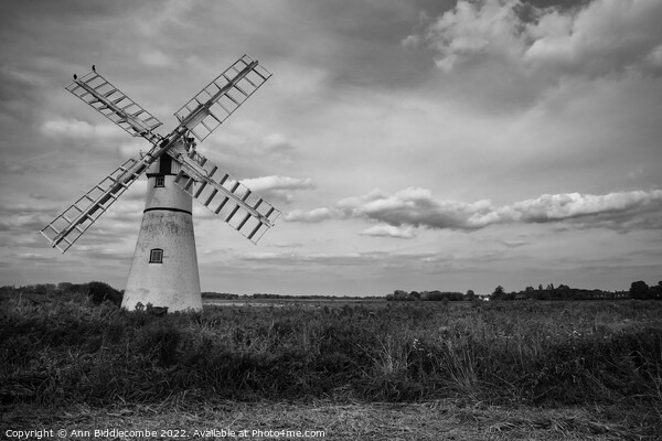 Thurne wind pump Picture Board by Ann Biddlecombe