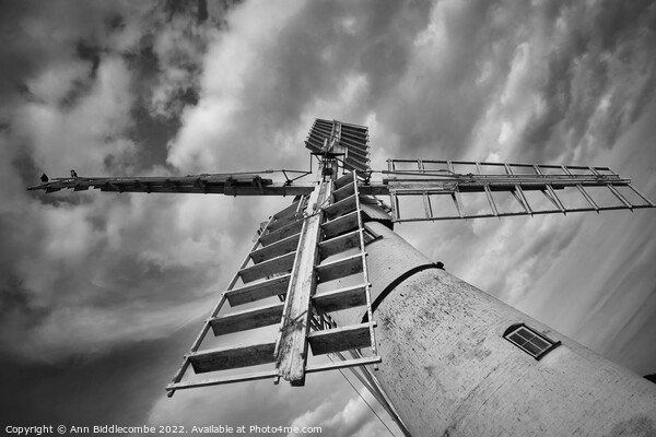 Looking up at Thurne windmill pump Picture Board by Ann Biddlecombe