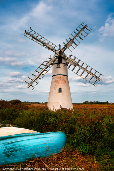 Windmill in the Norfolk broads Picture Board by Ann Biddlecombe